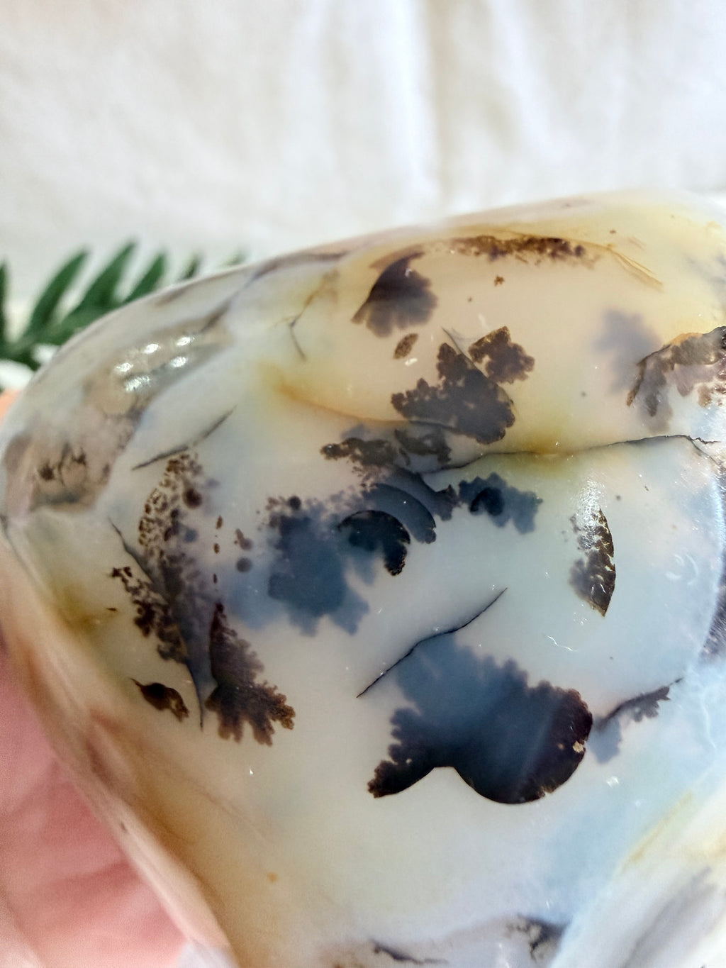 Dendritic Agate Freeform