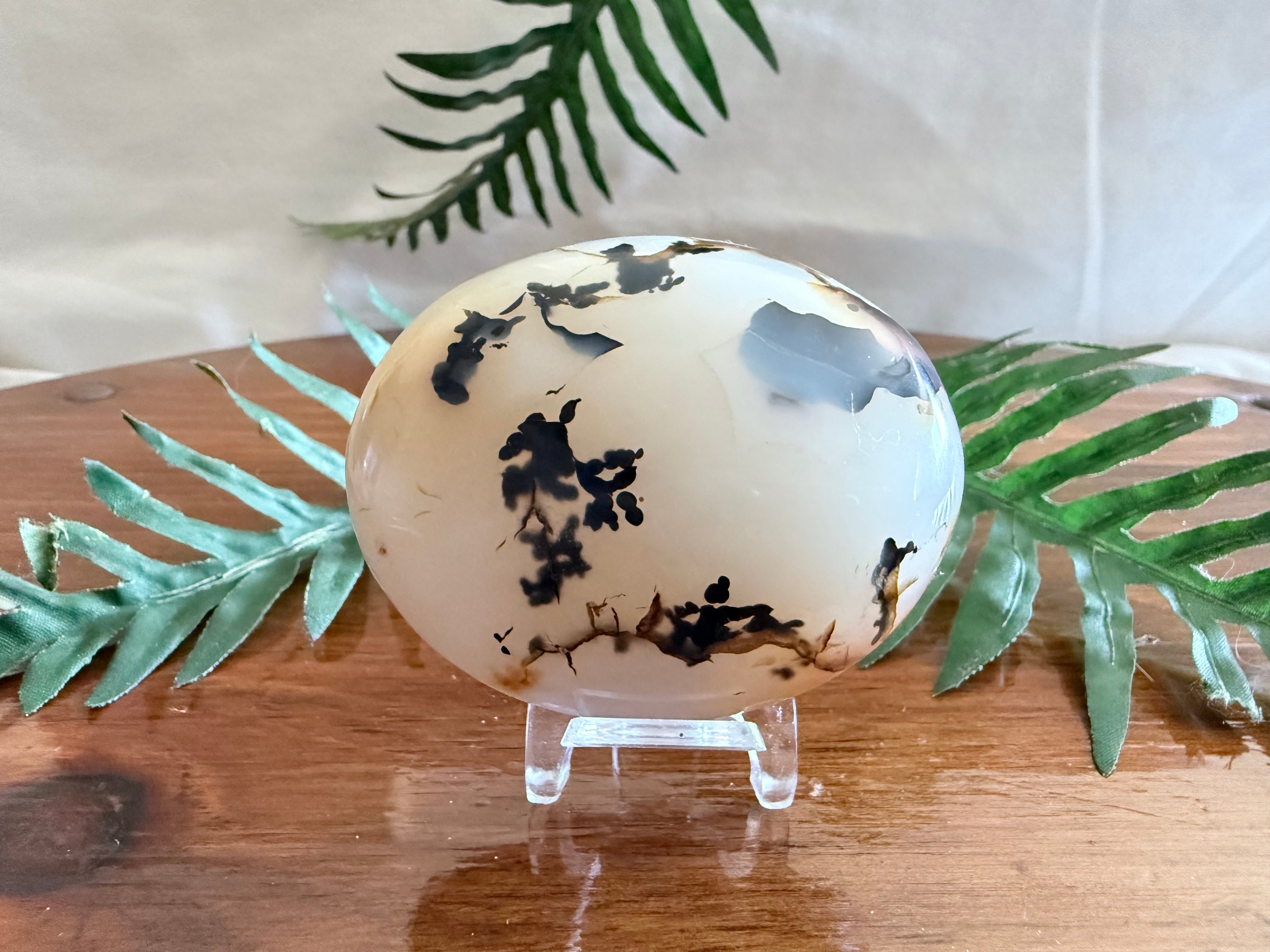 Durzy Dendritic Agate