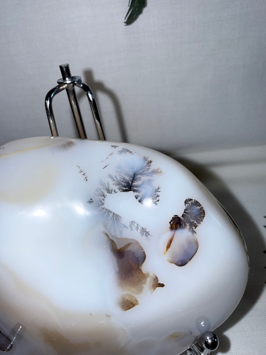 Dendritic Agate Freeform
