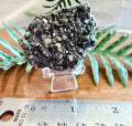 Rare Galena, Pyrite, Quartz, Calcite and Sphalerite
