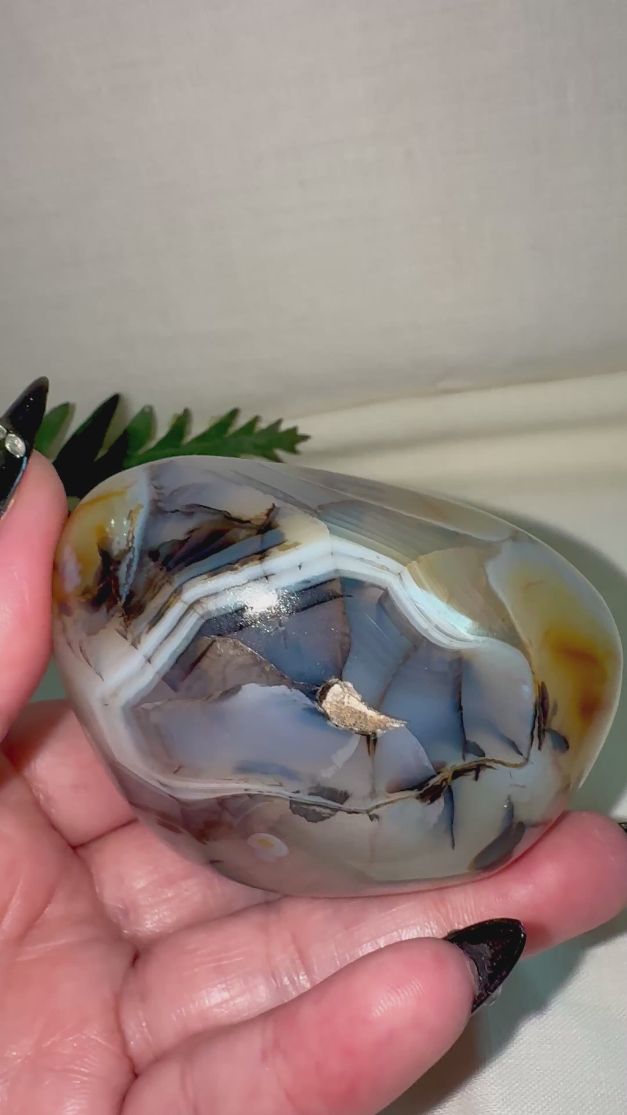 Dendritic Agate Freeform
