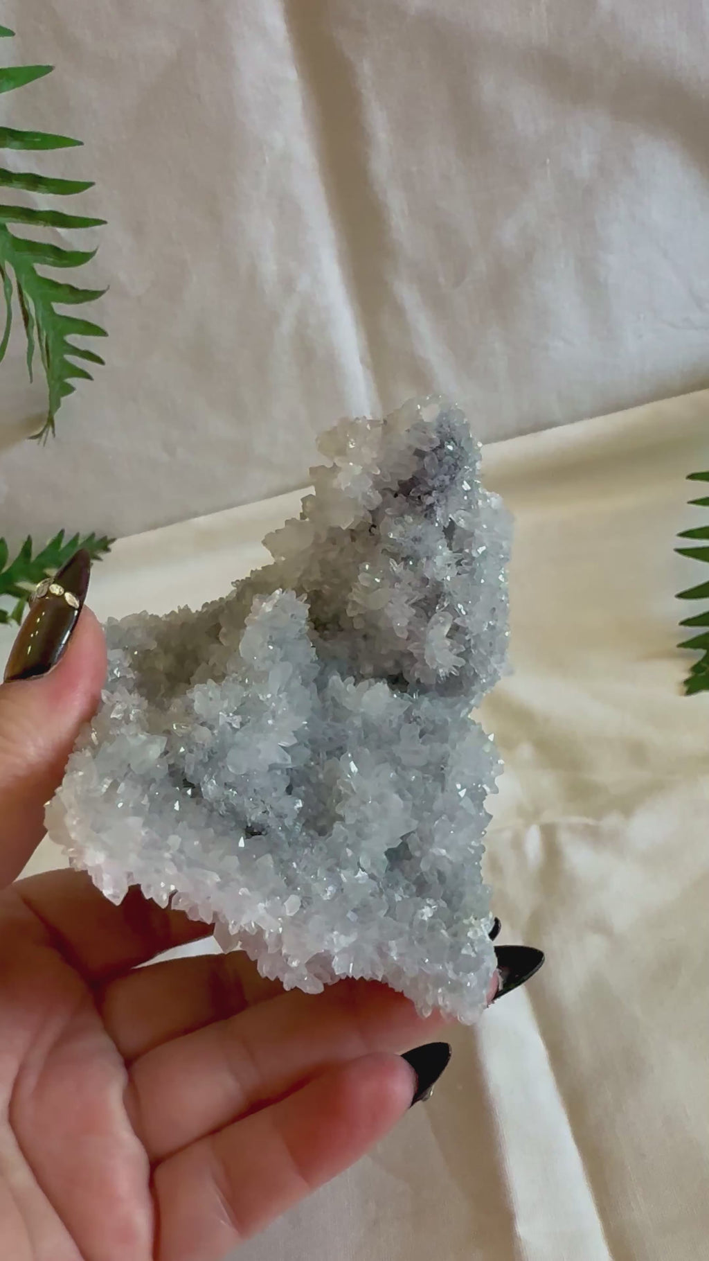 Chrysanthemum Quartz Cluster