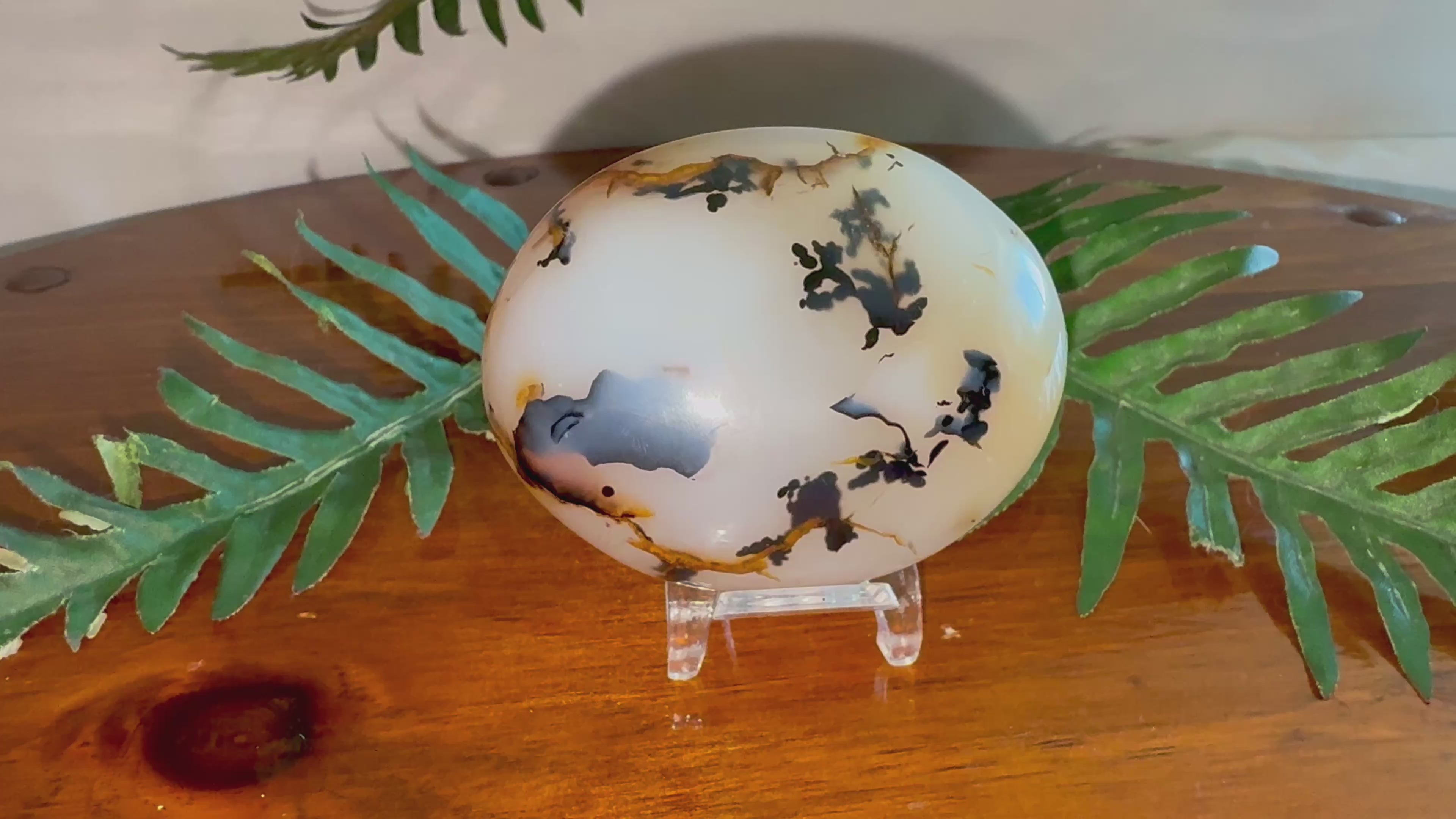 Durzy Dendritic Agate