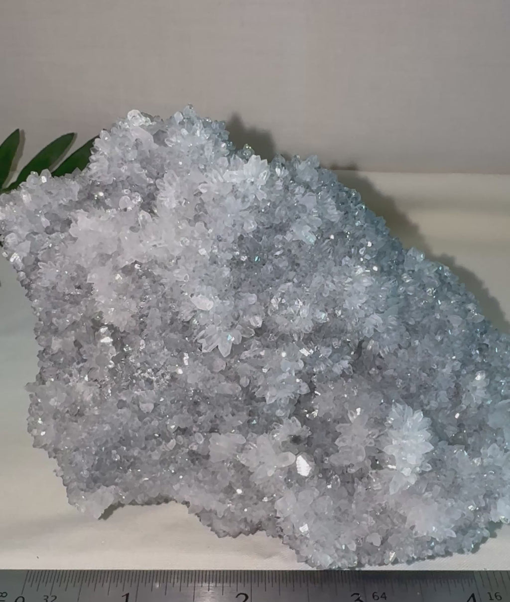 Chrysanthemum Quartz Cluster
